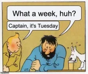Tuesday.webp Tuesday.webp