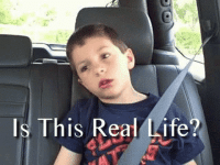 this-real.gif this-real.gif