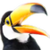 :toucan: